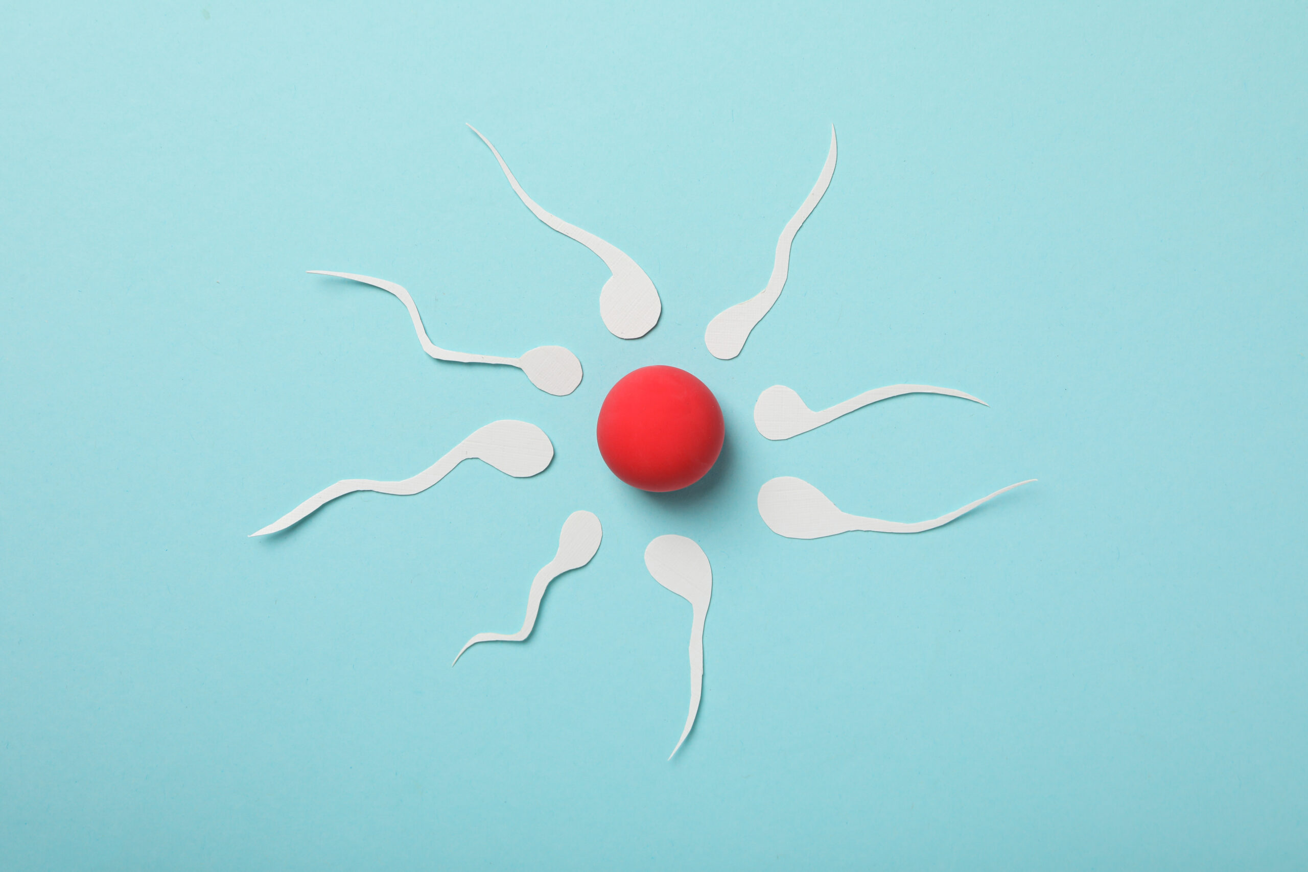 Cut out paper sperm around a red ball on a blue background