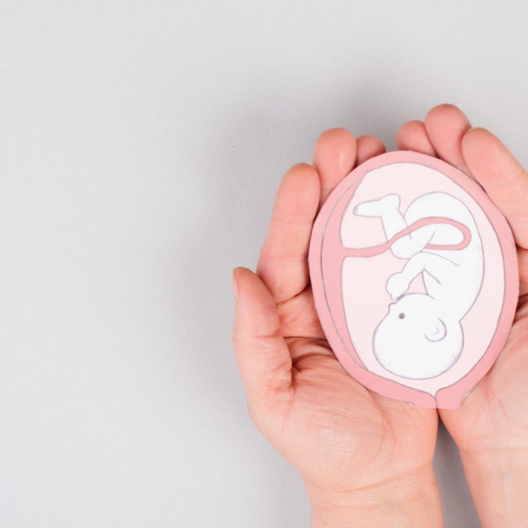 Person's hands holding a drawn picture of a baby in utero